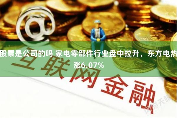 股票是公司的吗 家电零部件行业盘中拉升，东方电热涨6.07%