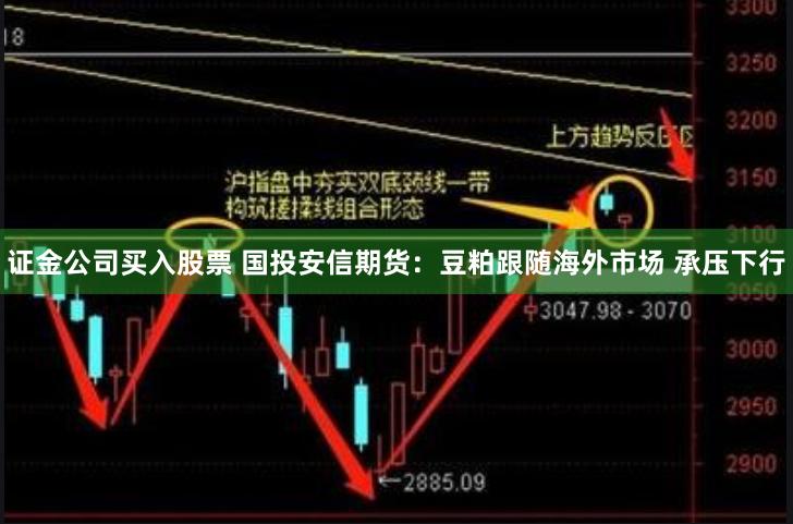 证金公司买入股票 国投安信期货：豆粕跟随海外市场 承压下行