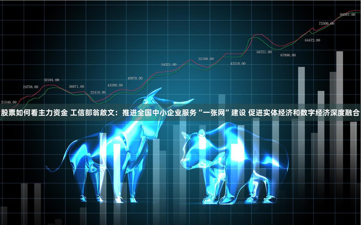 股票如何看主力资金 工信部翁啟文：推进全国中小企业服务“一张网”建设 促进实体经济和数字经济深度融合