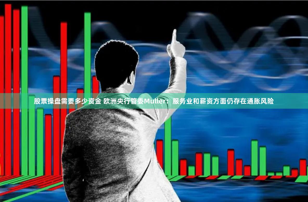 股票操盘需要多少资金 欧洲央行管委Muller：服务业和薪资方面仍存在通胀风险