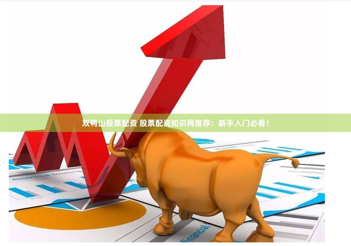 双鸭山股票配资 股票配资知识网推荐：新手入门必看！