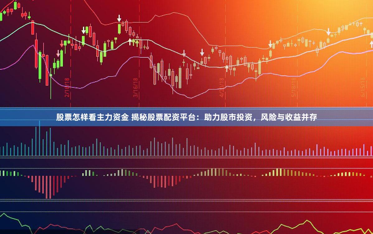 股票怎样看主力资金 揭秘股票配资平台：助力股市投资，风险与收益并存